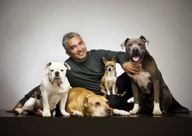 CesarMillan-e1307176062604