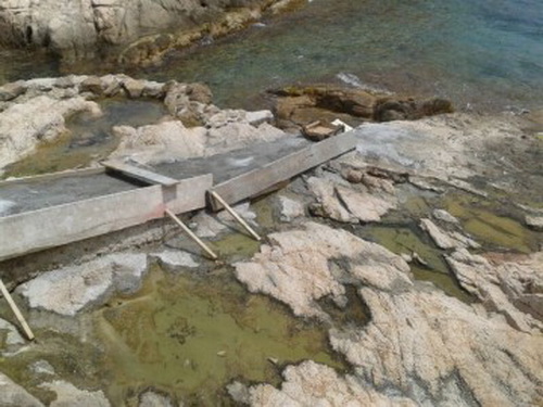 NATURALISTES FALDILLA